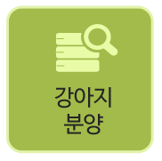 강아지분양